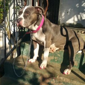 Meet your Posher, Aracely